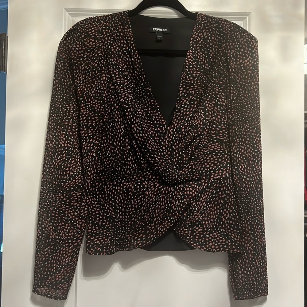 Express Sheer Blouse